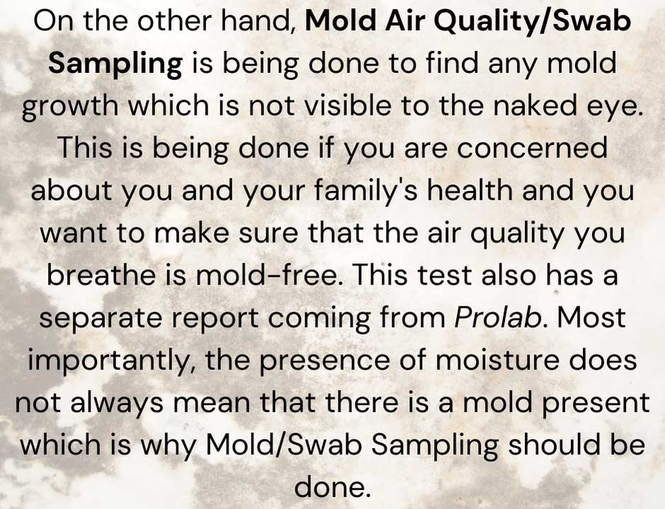 Mold Air Quality Sampling
