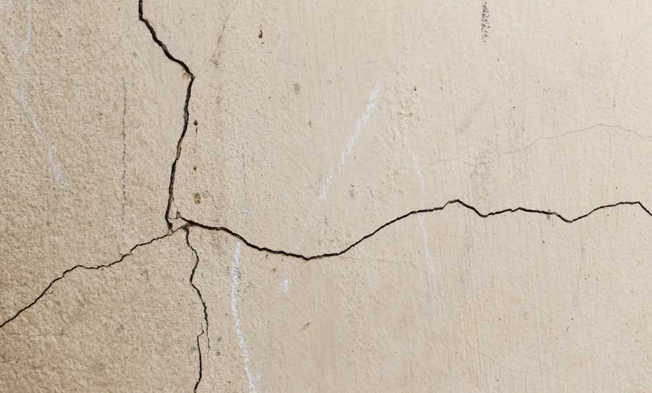Prevent Termites from Invading Your Home