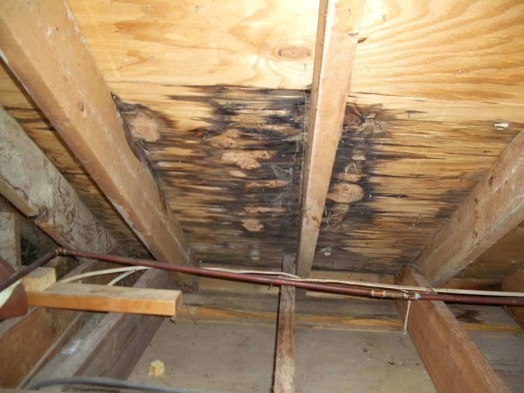 Roof leaking into attic